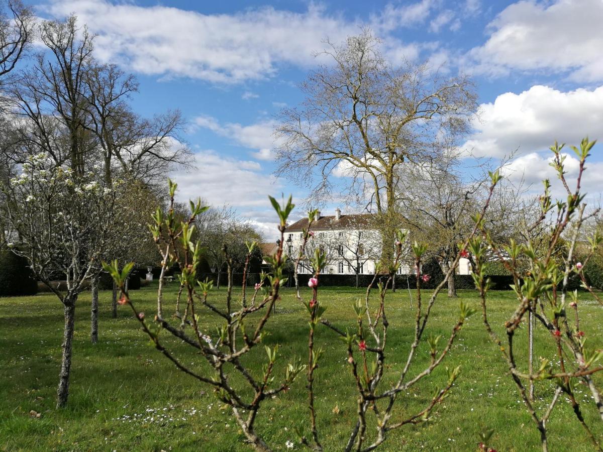 Chateau De Brinville Saint-Sauveur-sur-Ecole Екстер'єр фото